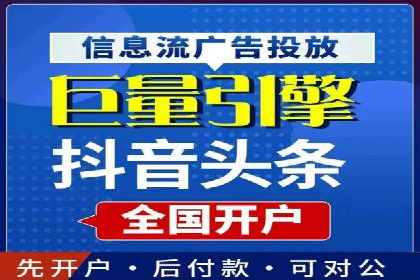 百度竞价与搜索引擎优化（SEO）的协同效应案例